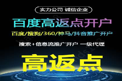 百度推广服务费案例：如何利用预算最大化效果